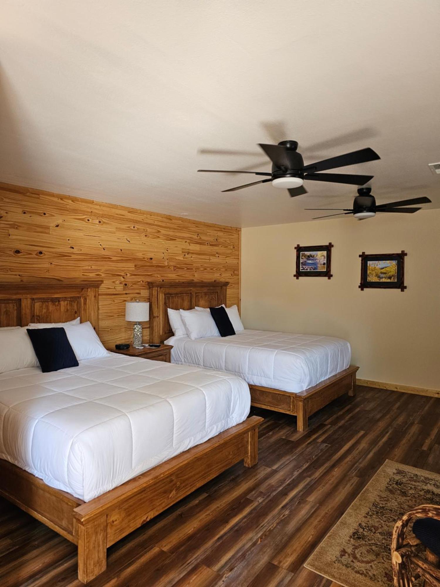 Snowy Peaks Rv Park Hotel Buena Vista Kültér fotó